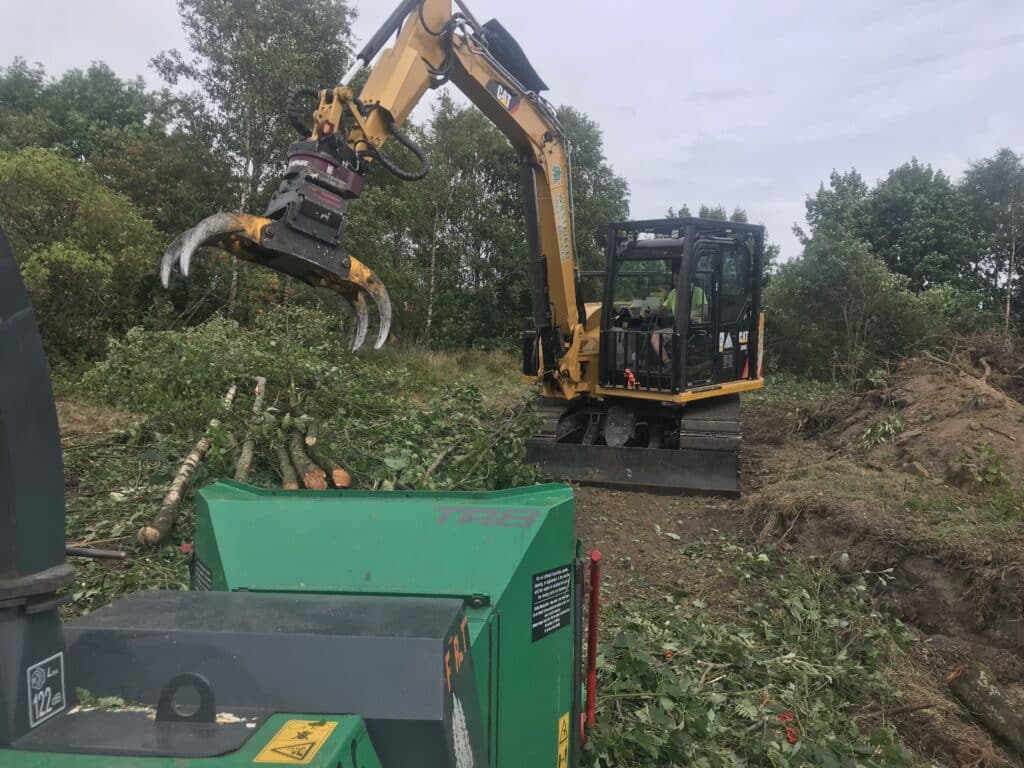 Tree Removal For Demolition