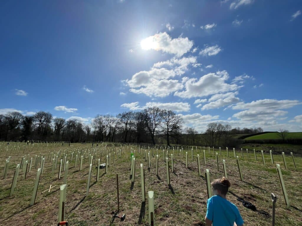 Tree Planting at The David Lewis Centre